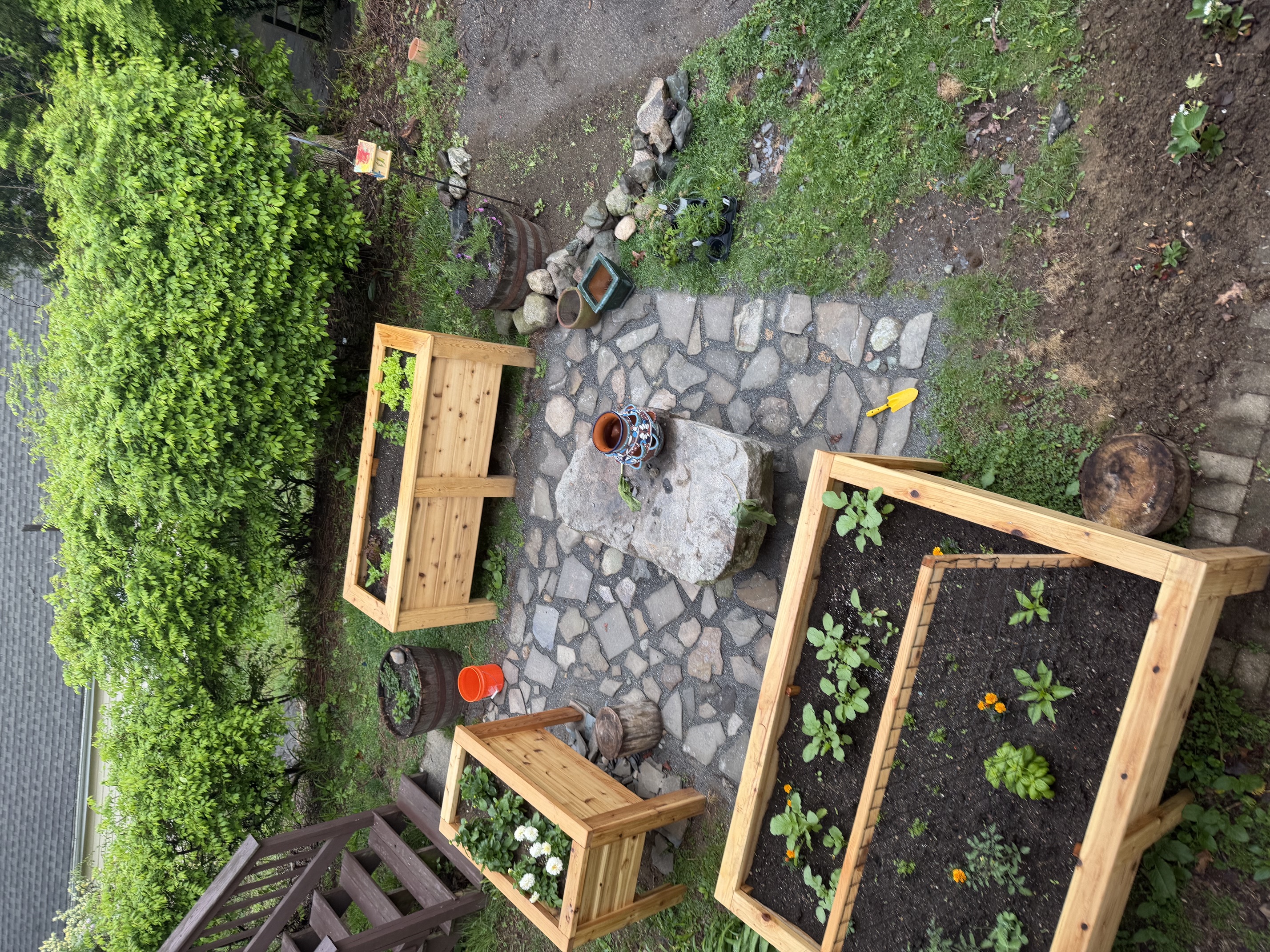 Aerial view of multiple cedar raised garden beds on a stone patio with young plants and flowers