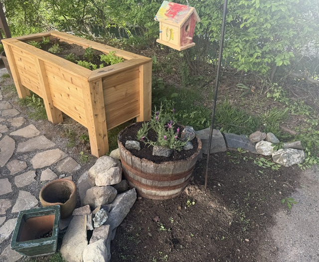 Raised cedar garden bed alongside a barrel planter and birdhouse
