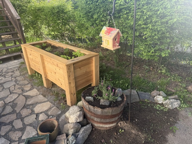 Backyard garden setup with raised cedar bed and decorative elements